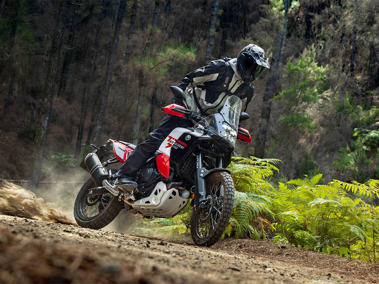 YAMAHA TÉNÉRÉ 700 WORLD RAID 2026 9 YAMAHA TÉNÉRÉ 700 WORLD RAID 2026 - Image 9