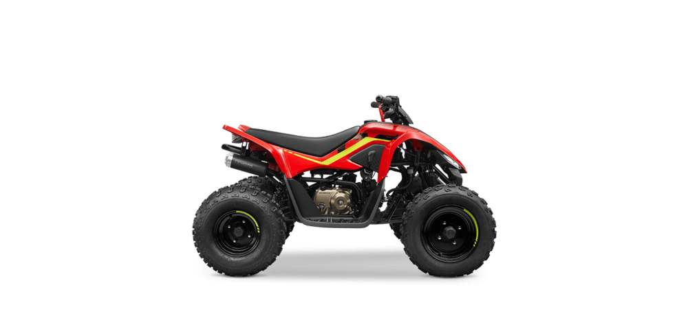 CFMOTO CFORCE 110 - Image 2