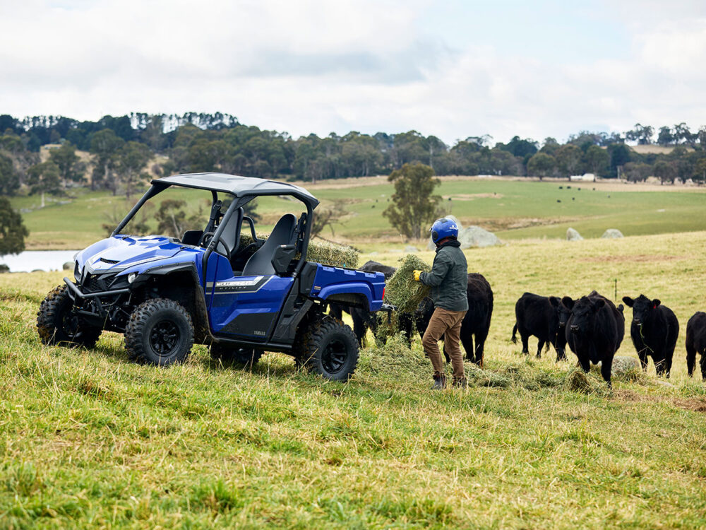 A person wearing a helmet unloads hay from a YAMAHA WOLVERINE X2 UTILITY onto a grassy field, surrounded by black cows.