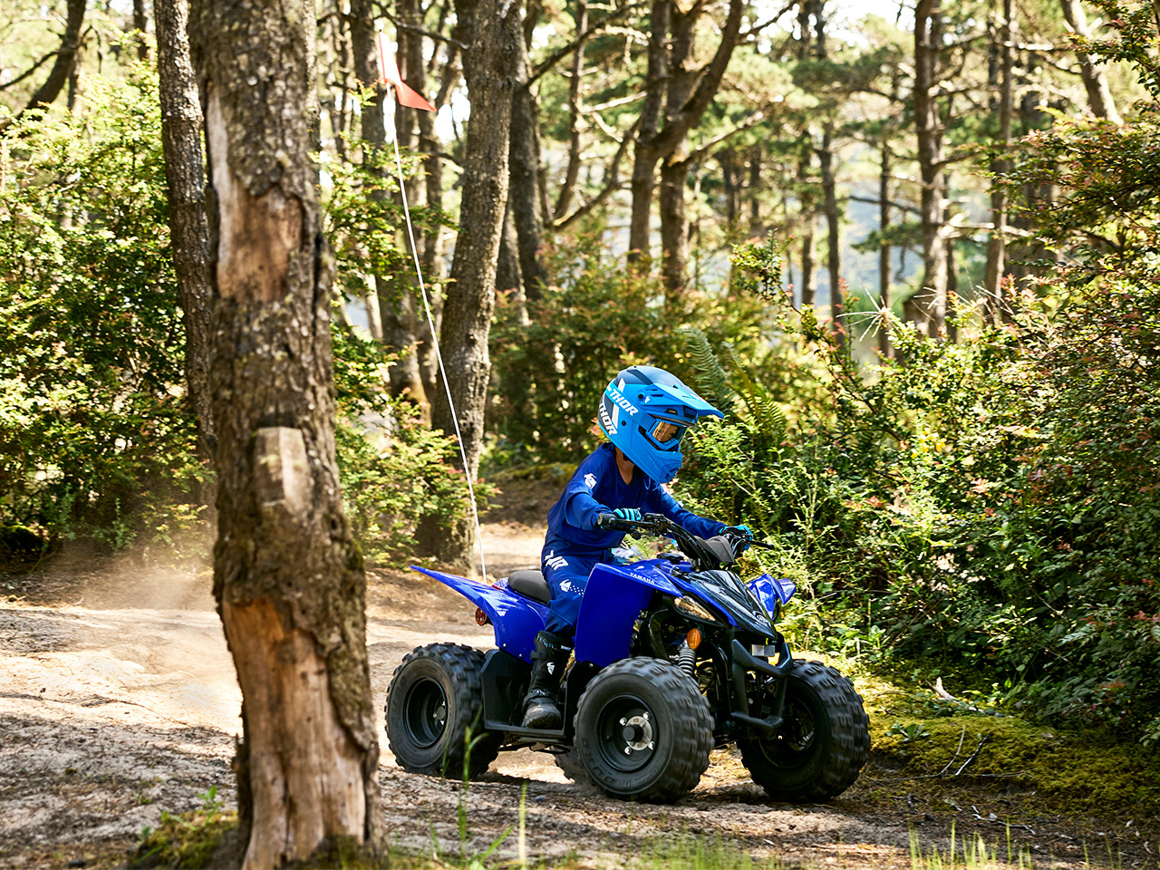 HYPERSPORT 50 2025 5 HYPERSPORT 50 2025 - Image 5