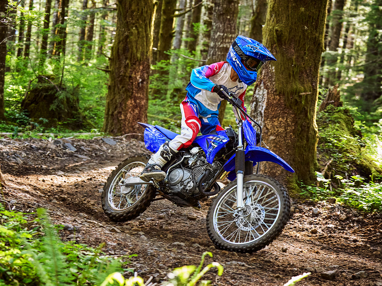 YAMAHA TT-R125LWE 2026 4 YAMAHA TT-R125LWE 2026 - Image 4