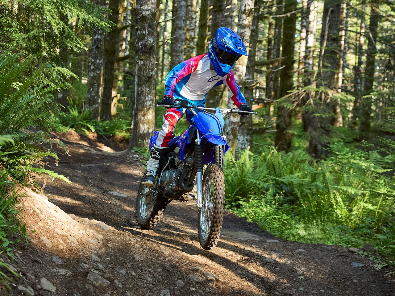 YAMAHA TT-R125LWE 2026 9 YAMAHA TT-R125LWE 2026 - Image 9